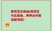 程灵芝比亚迪(程灵芝与比亚迪，跨界合作推出新项目)