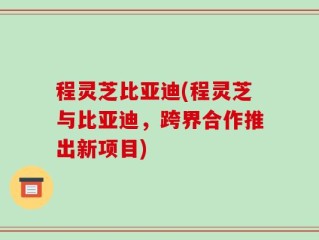 程灵芝比亚迪(程灵芝与比亚迪，跨界合作推出新项目)