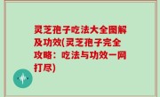 灵芝孢子吃法大全图解及功效(灵芝孢子完全攻略：吃法与功效一网打尽)