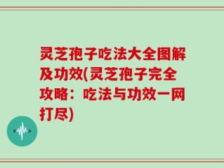 灵芝孢子吃法大全图解及功效(灵芝孢子完全攻略：吃法与功效一网打尽)