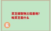 灵芝提取物三萜基地？峪灵芝是什么