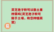 灵芝孢子粉可以撒土里种菜吗(灵芝孢子粉可施于土壤，助您种植蔬菜)