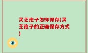 灵芝孢子怎样保存(灵芝孢子的正确保存方式)