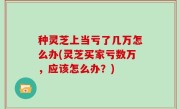 种灵芝上当亏了几万怎么办(灵芝买家亏数万，应该怎么办？)