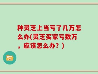 种灵芝上当亏了几万怎么办(灵芝买家亏数万，应该怎么办？)