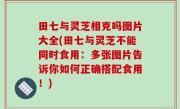 田七与灵芝相克吗图片大全(田七与灵芝不能同时食用：多张图片告诉你如何正确搭配食用！)