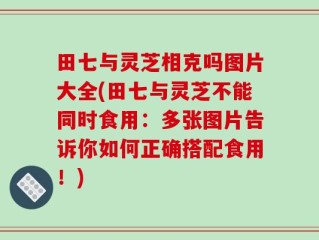 田七与灵芝相克吗图片大全(田七与灵芝不能同时食用：多张图片告诉你如何正确搭配食用！)