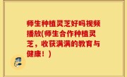 师生种植灵芝好吗视频播放(师生合作种植灵芝，收获满满的教育与健康！)