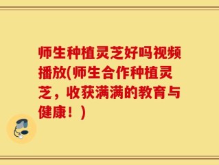 师生种植灵芝好吗视频播放(师生合作种植灵芝，收获满满的教育与健康！)