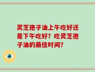 灵芝孢子油上午吃好还是下午吃好？吃灵芝孢子油的最佳时间？