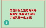 灵芝养生之道经典句子有哪些(经典句子带你了解灵芝养生之道)