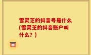 雪灵芝的抖音号是什么(雪灵芝的抖音账户叫什么？)