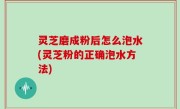 灵芝磨成粉后怎么泡水(灵芝粉的正确泡水方法)