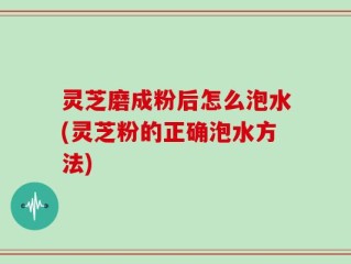 灵芝磨成粉后怎么泡水(灵芝粉的正确泡水方法)