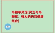 马鞭草灵芝(灵芝与马鞭草：强大的天然健康组合)