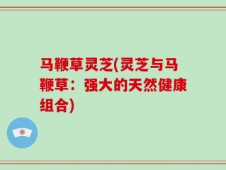 马鞭草灵芝(灵芝与马鞭草：强大的天然健康组合)