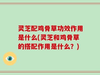 灵芝配鸡骨草功效作用是什么(灵芝和鸡骨草的搭配作用是什么？)
