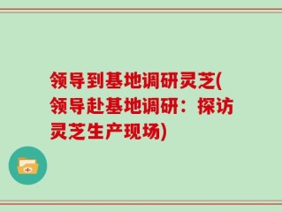 领导到基地调研灵芝(领导赴基地调研：探访灵芝生产现场)