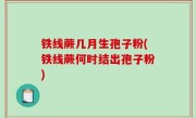 铁线蕨几月生孢子粉(铁线蕨何时结出孢子粉)