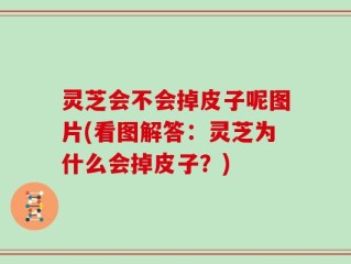 灵芝会不会掉皮子呢图片(看图解答：灵芝为什么会掉皮子？)