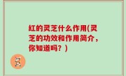 红的灵芝什么作用(灵芝的功效和作用简介，你知道吗？)