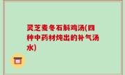 灵芝麦冬石斛鸡汤(四种中药材炖出的补气汤水)