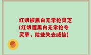 红娘被黑白无常抢灵芝(红娘遭黑白无常抢夺灵草，险些失去威信)