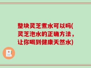 整块灵芝煮水可以吗(灵芝泡水的正确方法，让你喝到健康天然水)