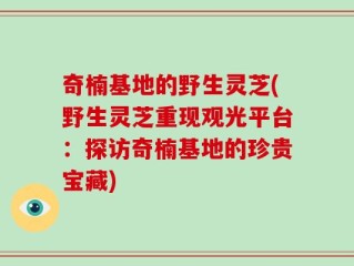 奇楠基地的野生灵芝(野生灵芝重现观光平台：探访奇楠基地的珍贵宝藏)