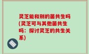 灵芝能和别的菌共生吗(灵芝可与其他菌共生吗：探讨灵芝的共生关系)