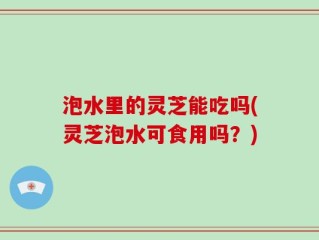 泡水里的灵芝能吃吗(灵芝泡水可食用吗？)