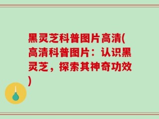 黑灵芝科普图片高清(高清科普图片：认识黑灵芝，探索其神奇功效)
