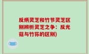 反炳灵芝和竹节灵芝区别辨析灵芝之争：反光菇与竹荪的区别)