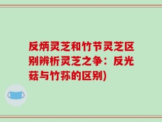 反炳灵芝和竹节灵芝区别辨析灵芝之争：反光菇与竹荪的区别)
