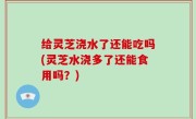 给灵芝浇水了还能吃吗(灵芝水浇多了还能食用吗？)