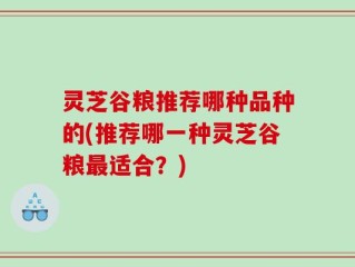 灵芝谷粮推荐哪种品种的(推荐哪一种灵芝谷粮最适合？)