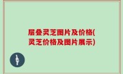 层叠灵芝图片及价格(灵芝价格及图片展示)
