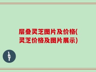 层叠灵芝图片及价格(灵芝价格及图片展示)