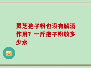 灵芝孢子粉也没有解酒作用？一斤孢子粉放多少水