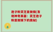 孢子粉灵芝显微镜(发现神奇真菌：灵芝孢子粉显微镜下的奥秘)