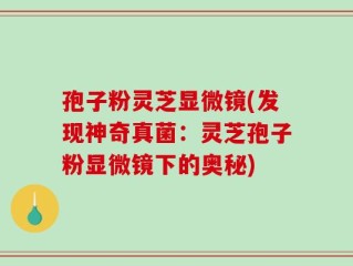 孢子粉灵芝显微镜(发现神奇真菌：灵芝孢子粉显微镜下的奥秘)