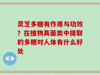 灵芝多糖有作用与功效？在植物真菌类中提取的多糖对人体有什么好处