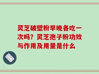 灵芝破壁粉早晚各吃一次吗？灵芝孢子粉功效与作用及用量是什么