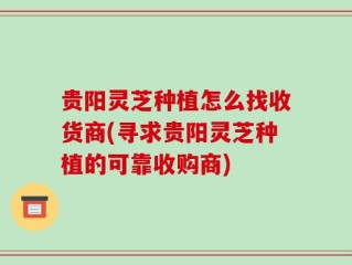 贵阳灵芝种植怎么找收货商(寻求贵阳灵芝种植的可靠收购商)