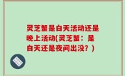 灵芝蟹是白天活动还是晚上活动(灵芝蟹：是白天还是夜间出没？)