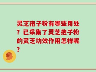 灵芝孢子粉有哪些用处？已采集了灵芝孢子粉的灵芝功效作用怎样呢？