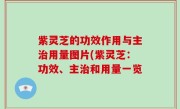 紫灵芝的功效作用与主治用量图片(紫灵芝：功效、主治和用量一览