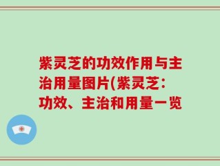 紫灵芝的功效作用与主治用量图片(紫灵芝：功效、主治和用量一览
