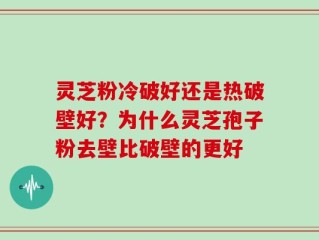 灵芝粉冷破好还是热破壁好？为什么灵芝孢子粉去壁比破壁的更好