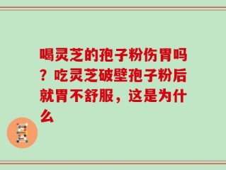 喝灵芝的孢子粉伤胃吗？吃灵芝破壁孢子粉后就胃不舒服，这是为什么